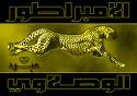 الصورة الرمزية lito